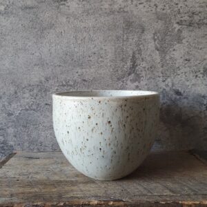 breakfast bowl